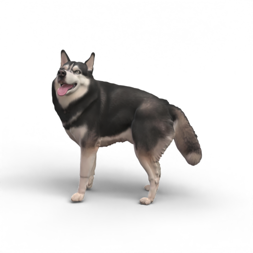 Husky 3D Model