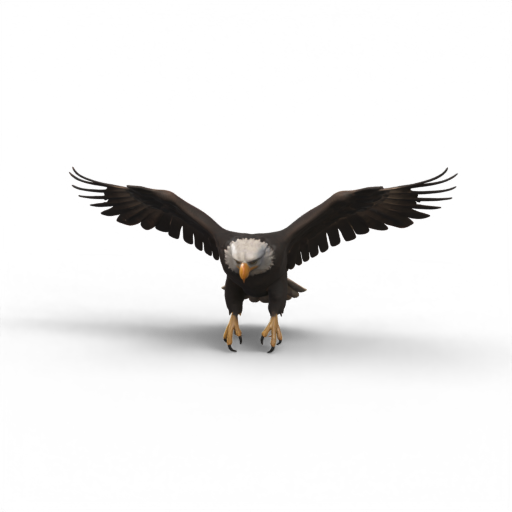 Flying Eagle 3D Model