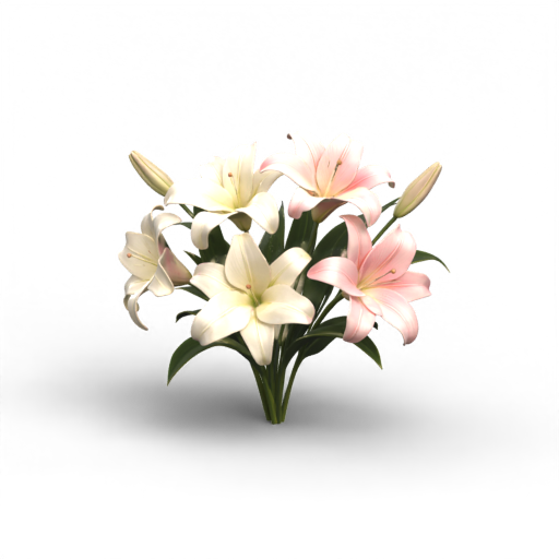 lily 3D Model