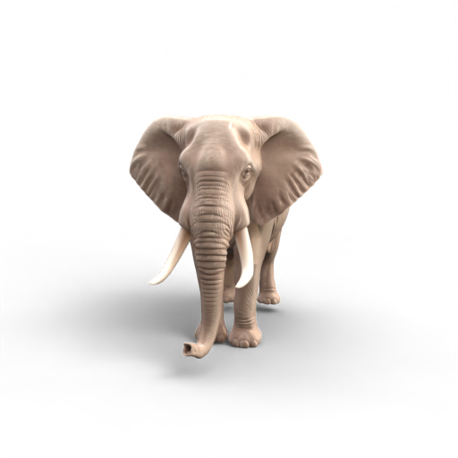 elephant 3D Model