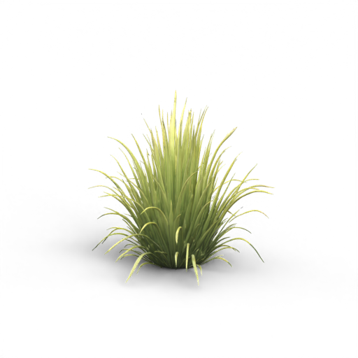 Grass 3D Model