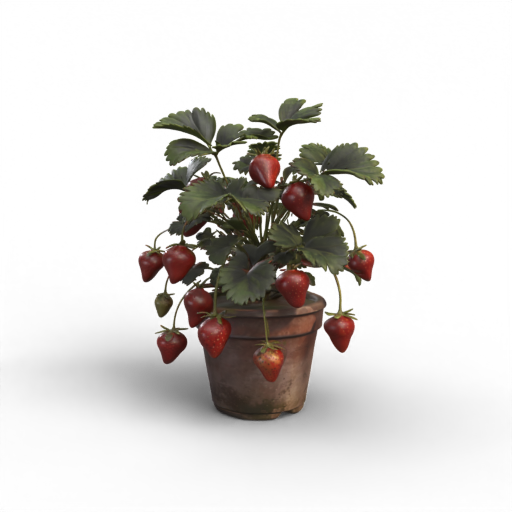 potted strawberries 3D Model